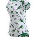 Dinosaurs Onesie Bodysuit