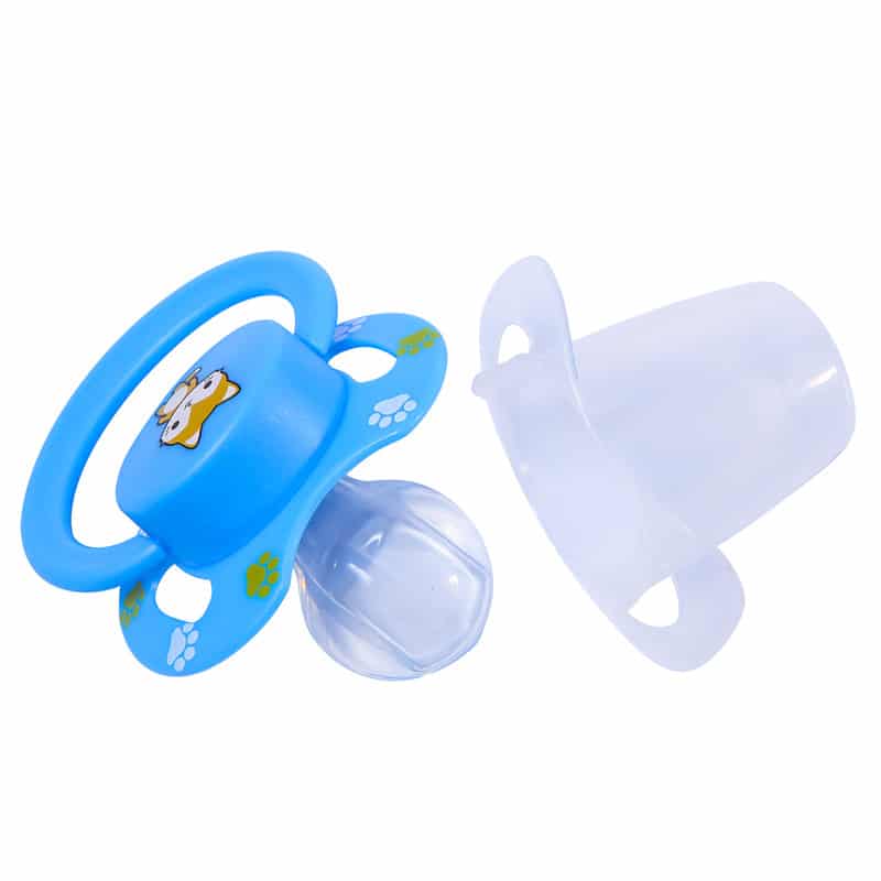 Teddy bear Pink & Fox Blue Pacifier set