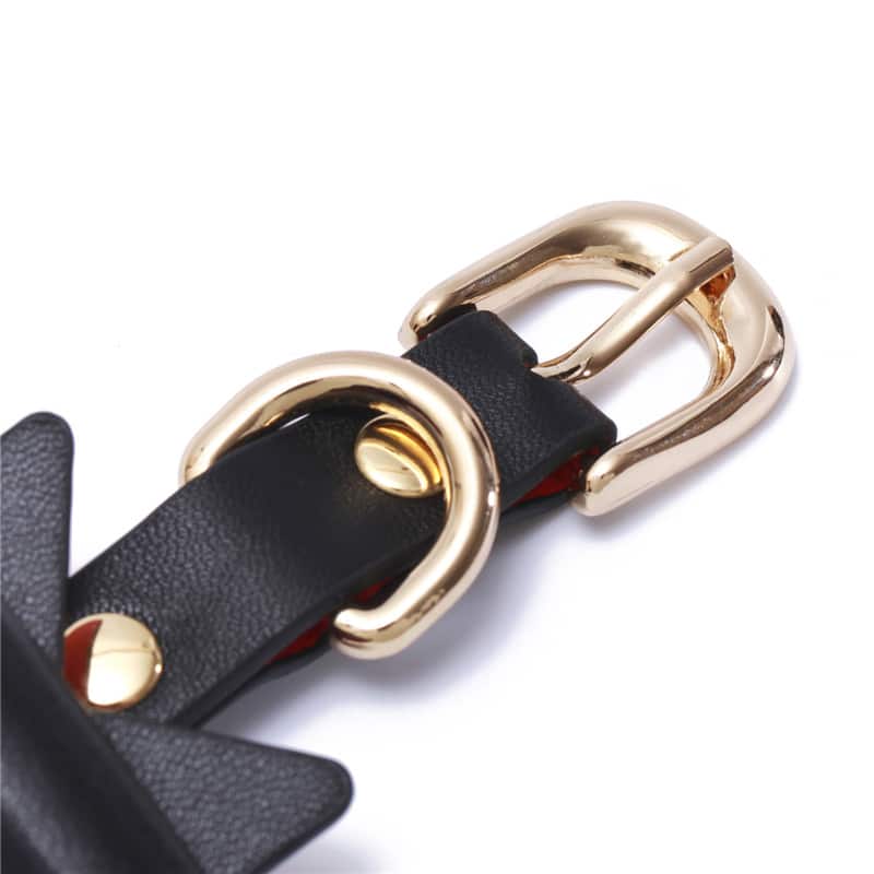Prettybows Soft Lamb Leather Collar Leash Set – Black/Red Leather & Golden Alloy