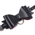 Prettybows Soft Lamb Leather Collar Leash Set – Black/Red Leather & Golden Alloy