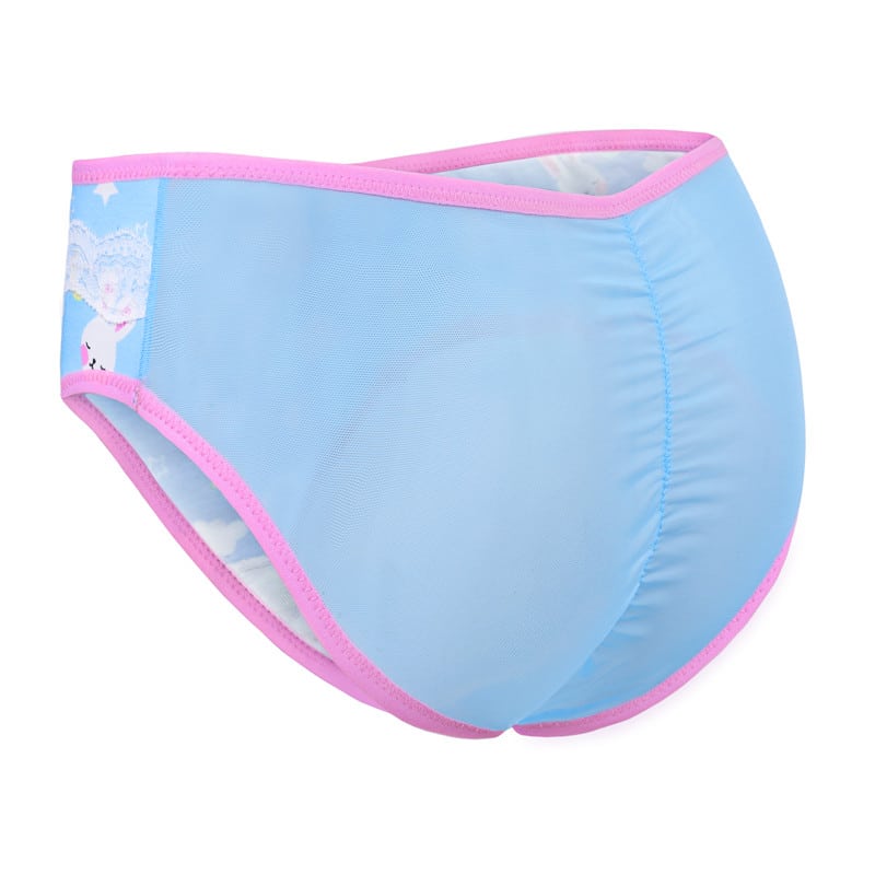 Bedtime Bunny Sexy Panties Set