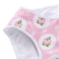 Shabby Chic Panties Set