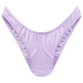 Little Secret Thong Tucking Gaff Panties Light Purple