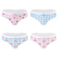 Baby Bear Panties Set
