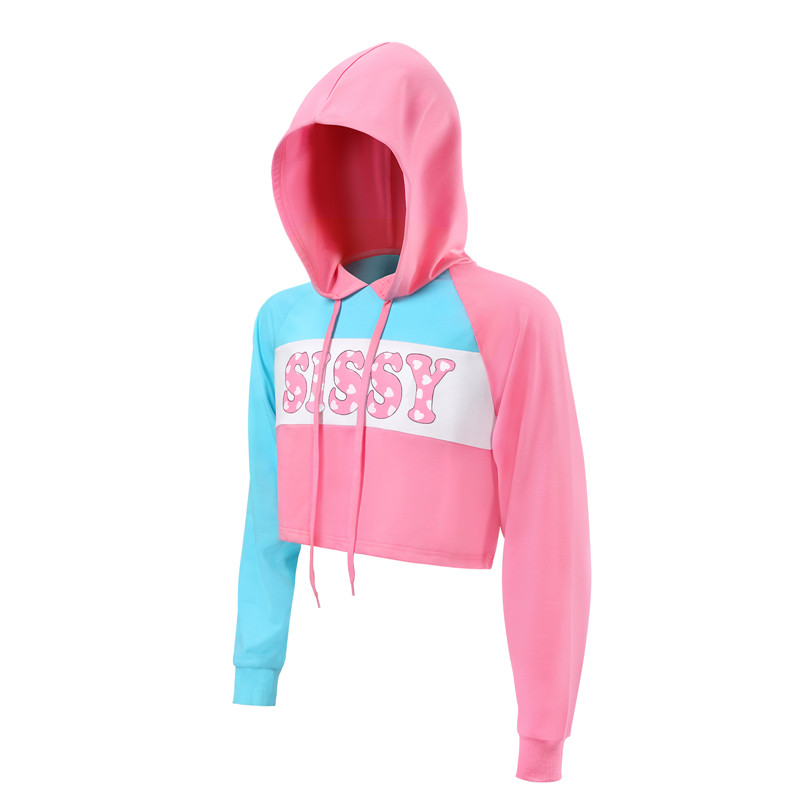 Pastel SissyUniversity Cropped Hoodie Sweatshirt