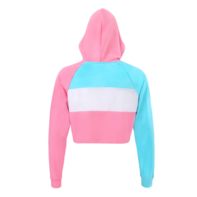 Pastel SissyUniversity Cropped Hoodie Sweatshirt