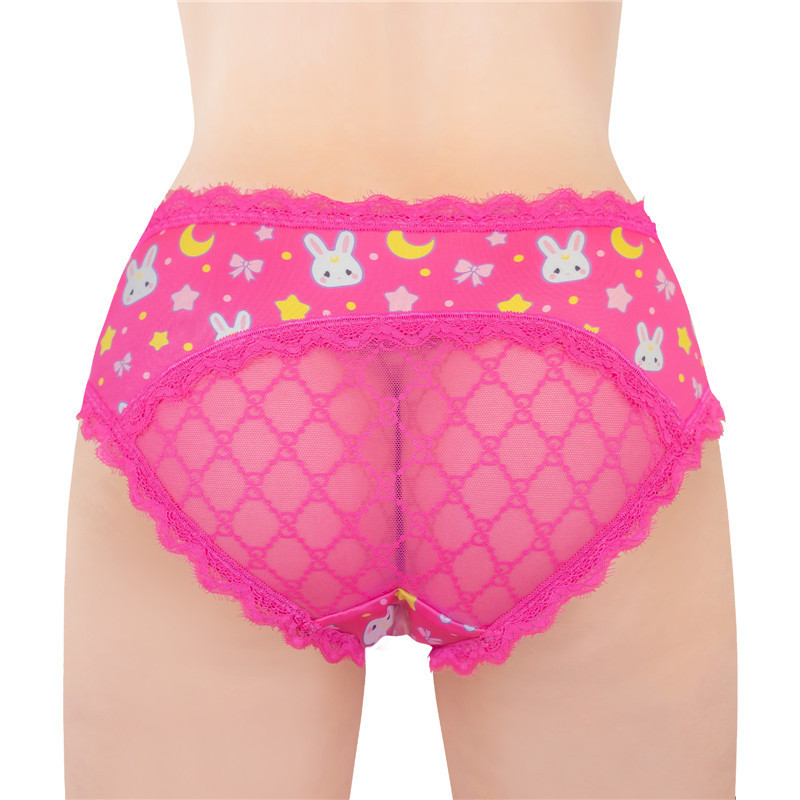 Cheeky Usagi Tucking Gaff Panties Hot Pink