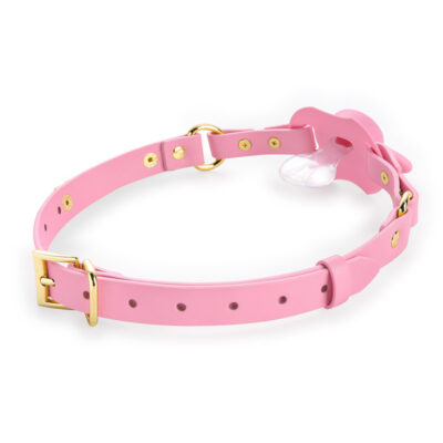 Gen II Pacifier & Gag Set with Rhinostone Letters Attachment