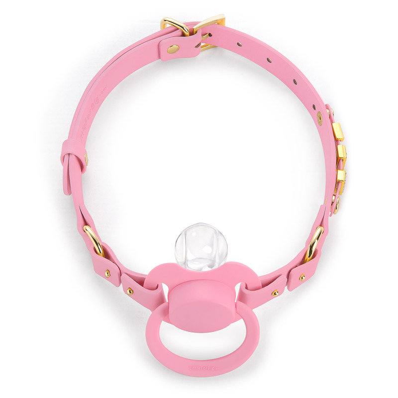 Gen II Pacifier & Gag Set with Custom Letter Options