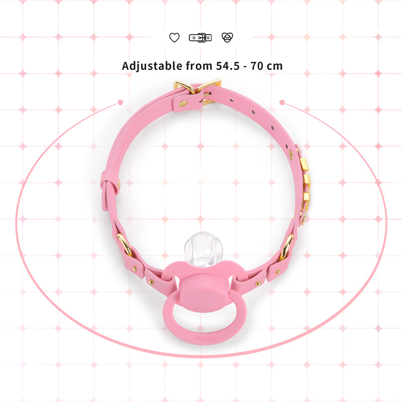 Gen II Pacifier & Gag Set with Custom Letter Options