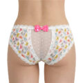 Butterflies Pattern Cheeky Bow Tucking Gaff Panties