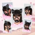 Little Furry Pacifier Petplay Head Harness