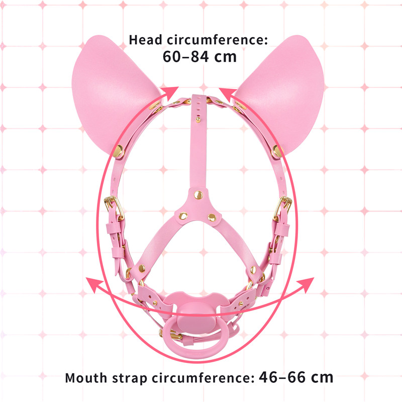 Little Furry Pacifier Petplay Head Harness